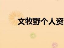文牧野個人資料（文牧野導(dǎo)演簡歷）