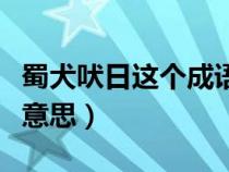 蜀犬吠日這個(gè)成語(yǔ)比喻什么（蜀犬吠日是什么意思）