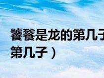 饕餮是龍的第幾子動(dòng)漫在線觀看（饕餮是龍的第幾子）
