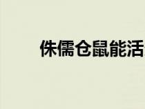 侏儒倉鼠能活多久（倉鼠能活多久）