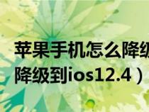 蘋果手機(jī)怎么降級(jí)到出廠系統(tǒng)(蘋果手機(jī)怎么降級(jí)到ios12.4) 蘋果手機(jī)怎么降級(jí)到出廠系統(tǒng)(蘋果手機(jī)怎么降級(jí)到ios12.4)