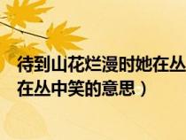 待到山花爛漫時她在叢中笑的意思的她（待到山花爛漫時她在叢中笑的意思）