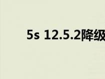 5s 12.5.2降級（5s降級10.3.3教程）