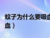 蚊子為什么要吸血為什么癢（蚊子為什么要吸血）