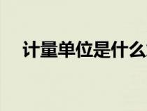 計量單位是什么意思（計數(shù)單位是什么）