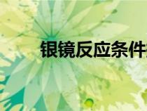 銀鏡反應(yīng)條件探究（銀鏡反應(yīng)條件）