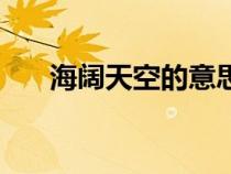 海闊天空的意思是（海闊天空的意思）