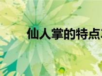 仙人掌的特點20字（仙人掌的特點）
