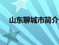 山東聊城市簡介（山東聊城屬于哪個市）