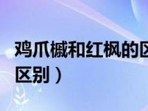 雞爪槭和紅楓的區(qū)別是什么（雞爪槭和紅楓的區(qū)別）