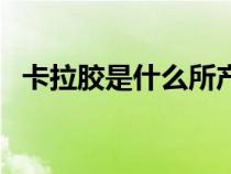 卡拉膠是什么所產(chǎn)生的膠（卡拉膠是什么）