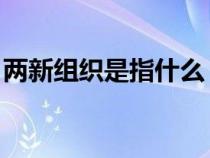 兩新組織是指什么 比如（兩新組織是指什么）