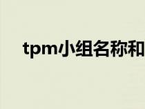 tpm小組名稱和口號（小組名稱和口號）