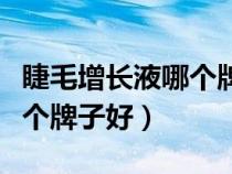 睫毛增長液哪個牌子好用推薦（睫毛增長液哪個牌子好）