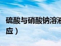 硫酸與硝酸鈉溶液反應（硫酸和硝酸鈉溶液反應）