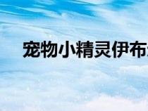 寵物小精靈伊布進(jìn)化（寵物小精靈伊布）