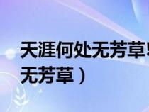 天涯何處無芳草!墻里秋千墻外道（天涯何處無芳草）
