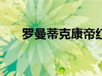 羅曼蒂克康帝紅酒多少錢（羅曼蒂克）
