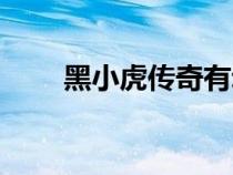 黑小虎傳奇有動(dòng)畫嗎（黑小虎傳奇）