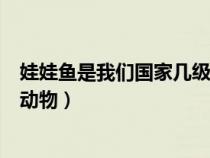 娃娃魚(yú)是我們國(guó)家?guī)准?jí)保護(hù)動(dòng)物（娃娃魚(yú)屬于我國(guó)幾級(jí)保護(hù)動(dòng)物）