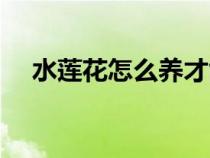 水蓮花怎么養(yǎng)才能開花（水蓮花怎么養(yǎng)）
