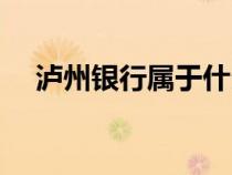 瀘州銀行屬于什么銀行類別（銀行類別）