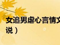 女追男虐心言情文筆好結(jié)局好（女追男虐心小說）