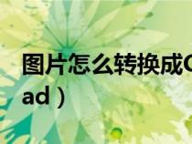 圖片怎么轉(zhuǎn)換成CAD格式(圖片怎么轉(zhuǎn)換成cad) 圖片怎么轉(zhuǎn)換成CAD格式(圖片怎么轉(zhuǎn)換成cad)