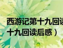 西游記第十九回讀后感150字左右（西游記第十九回讀后感）
