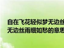 自在飛花輕似夢(mèng)無邊絲雨細(xì)如愁的意思?（自在飛花輕似夢(mèng)無邊絲雨細(xì)如愁的意思）