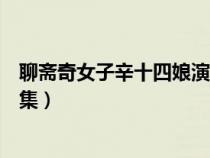 聊齋奇女子辛十四娘演員表（聊齋奇女子之辛十四娘是第幾集）