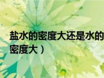 鹽水的密度大還是水的密度大一些（鹽水的密度大還是水的密度大）