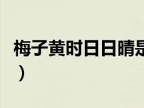 梅子黃時(shí)日日晴是什么季節(jié)（梅子黃時(shí)日日晴）