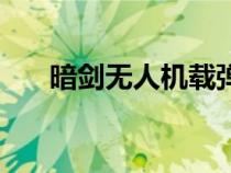 暗劍無人機載彈量（暗箭無人攻擊機）