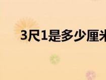 3尺1是多少厘米長(zhǎng)（3尺1是多少厘米）