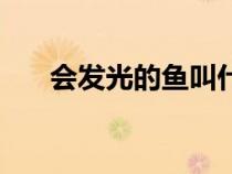 會發(fā)光的魚叫什么名字（會發(fā)光的魚）
