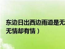 東邊日出西邊雨道是無情卻有情意思（東邊日出西邊雨道是無情卻有情）