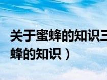 關(guān)于蜜蜂的知識(shí)三年級(jí)下冊(cè)基礎(chǔ)訓(xùn)練（關(guān)于蜜蜂的知識(shí)）