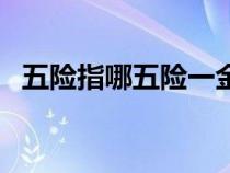 五險指哪五險一金是哪些（五險指哪五險）