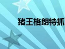 豬王格朗特抓取地點（豬王格朗特）