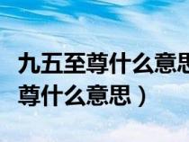 九五至尊什么意思打一數(shù)字應該是幾（九五至尊什么意思）