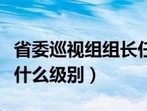 省委巡視組組長任期幾年（省委巡視組組長是什么級別）