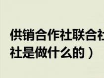 供銷合作社聯合社是干啥的（供銷合作社聯合社是做什么的）