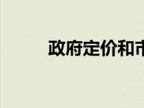 政府定價和市場定價（政府定價）