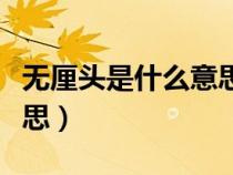 無厘頭是什么意思呢反義詞（無厘頭是什么意思）