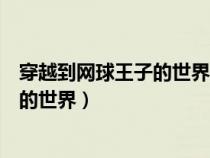 穿越到網(wǎng)球王子的世界的小說主角是女生（穿越到網(wǎng)球王子的世界）
