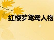 紅樓夢鴛鴦人物形象分析（紅樓夢鴛鴦）