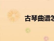 古琴曲譜怎么看（古琴曲譜）