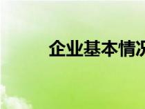 企業(yè)基本情況表（企業(yè)基本情況）
