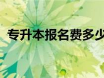 專升本報名費多少錢2023（專升本報名費）